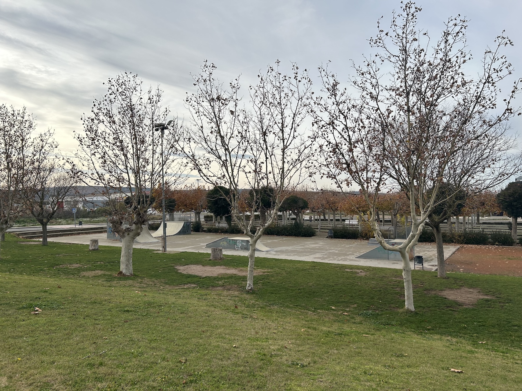 Castejon skatepark